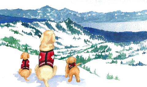 Watercolor painting of three patrol dogs overlooking the Olympic Valley on a Bluebird Day
