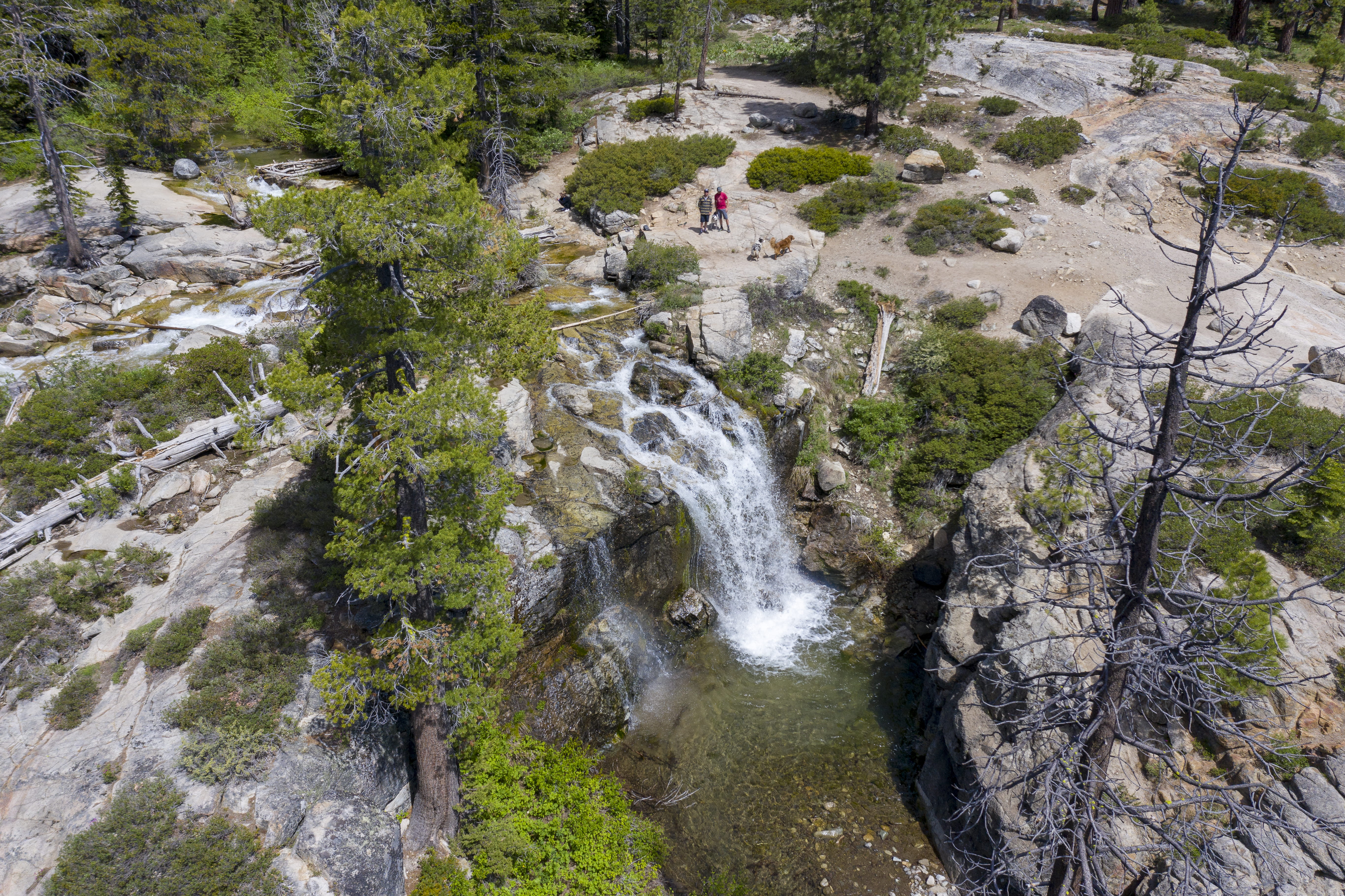 A photograph of two hikers with two dogs standing next to a waterfall on Shirley Canyon Trail.