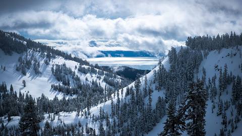 Top of Alpine in winter image.