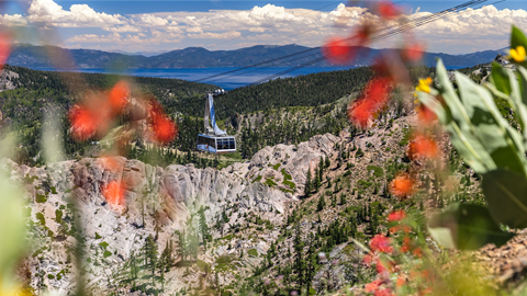 Aerial Tram in Summer at Palisades Tahoe