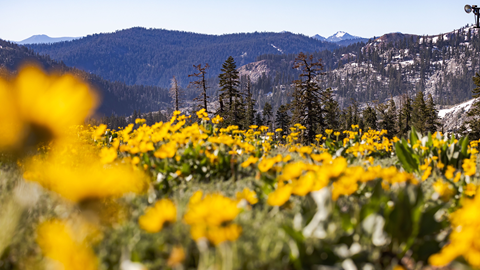 Shirley and Solitude hiking trail