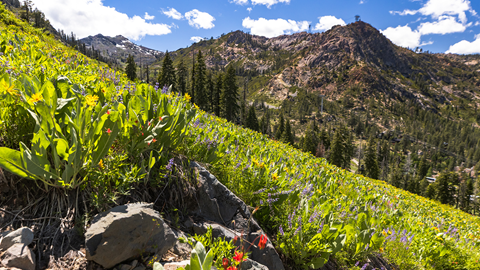 World Cup Hiking Trail at Palisades Tahoe