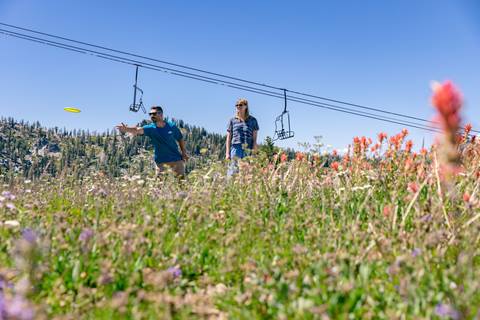 Disc golfing through wildflowers at High Camp
