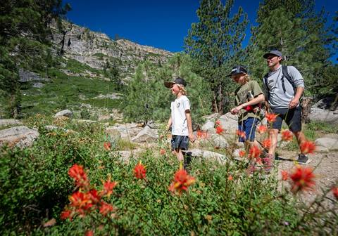 Campers hike through vibrant mountain wildflowers during a summer camp excursion at Palisades Tahoe