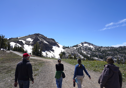 Group of participants walking at a Naturalist Walk