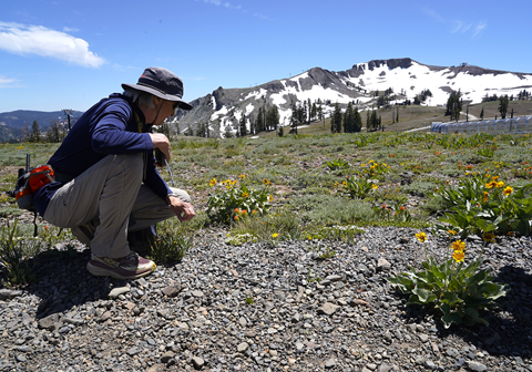 Mountain host showing a group of participants local flora and fauna