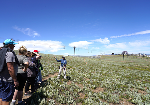 Naturalist walk at Palisades Tahoe