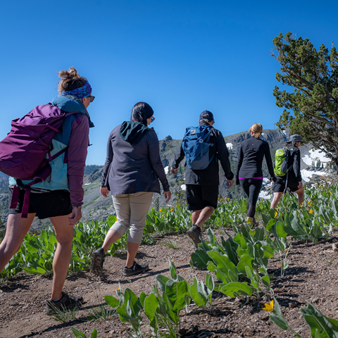Naturalist Hikes at High Camp