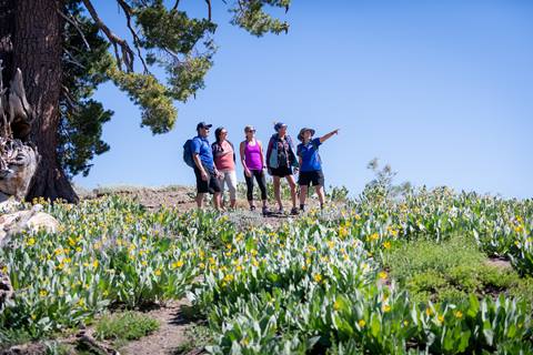 Guided Hike in the High Camp Meadow
