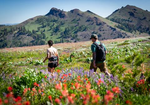 A couple walking up at High Camp in a field of wildflowers