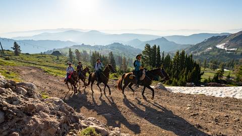 Riders at Tevis Cup
