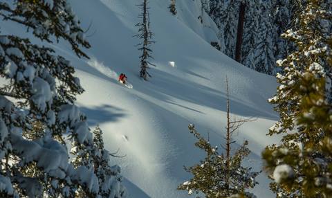 Skier scoring some untracked lines with Alpenglow Expeditions