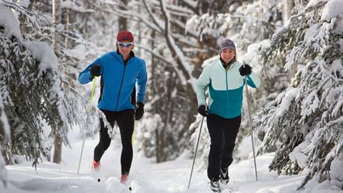 Two nordic skiers in the wood on a winter day.
