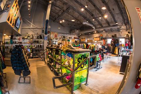Products at The Ledge Boardshop in The Village
