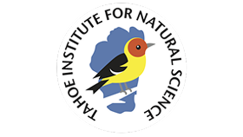 TINS logo