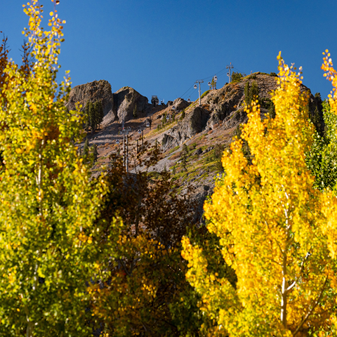 Fall colors at Palisades Tahoe