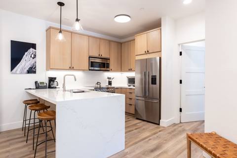 Modern kitchen with stainless steel appliances at premier plus suite.