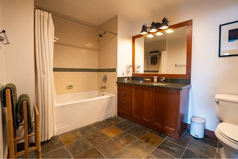 Sequoia Modern bathroom