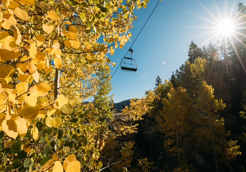 Fall leaves and colors surrounding a chairlift