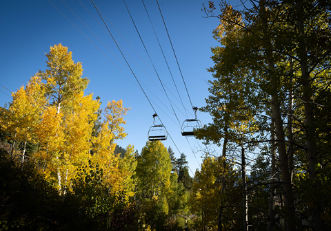 Fall leaves and colors surrounding a chairlift