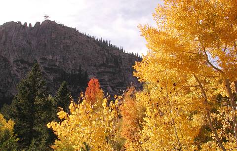 Fall colors with Tram Face in the background