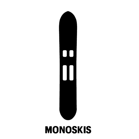 Monoski icon