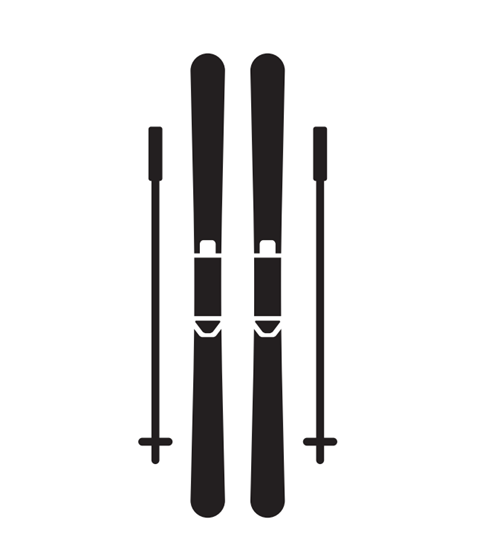 Icon of skis
