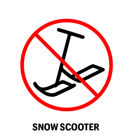Snow scooter icon