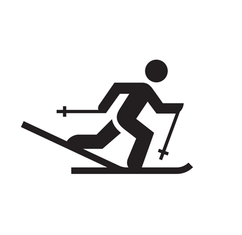 Icon of telemark skis