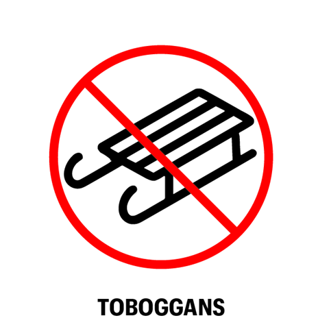 Toboggan icon