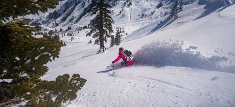 Skier in powder