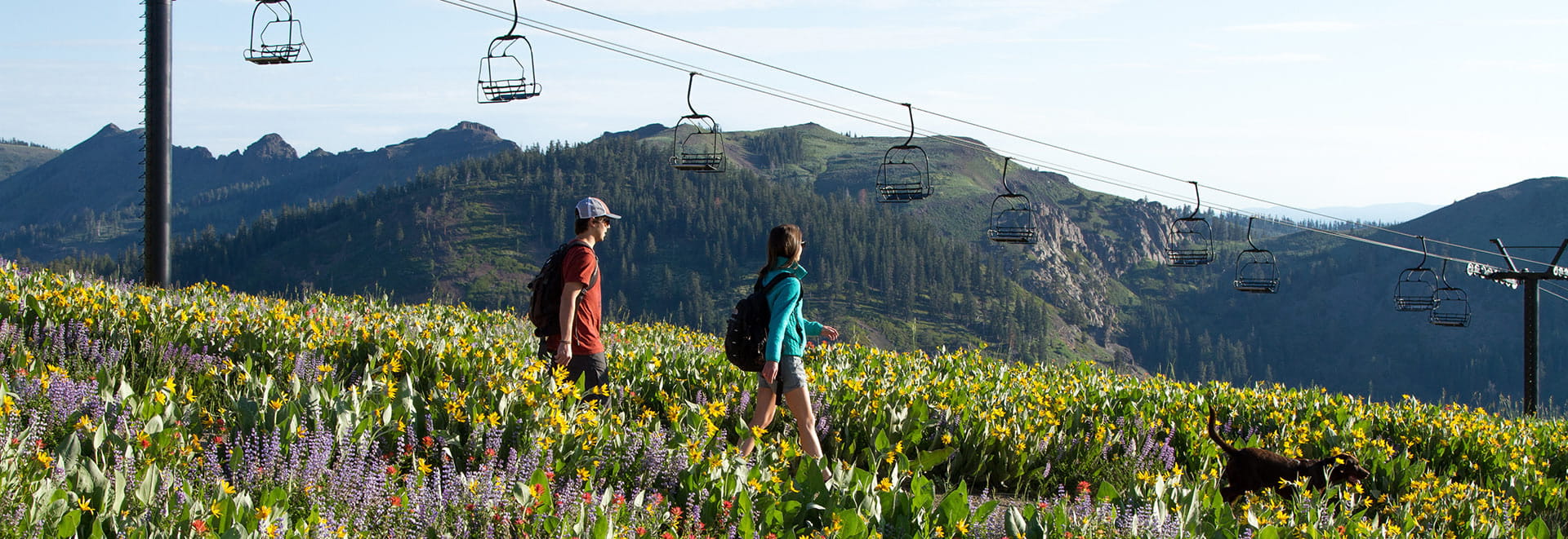 Couple hiking through wildflowers at Palisades Tahoe's High Camp