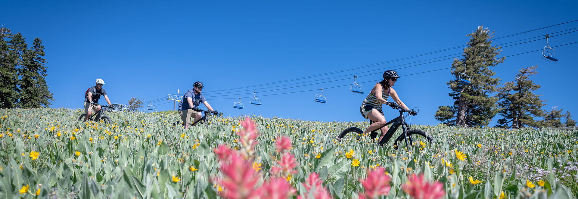 Three bikers on an e-mountain bike tour at Palisades Tahoe's High Camp