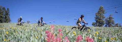 Bikers enjoy an e-mountain bike tour of wildflower-covered High Camp.