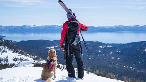 Ski Patrol dog and handler at Alpine looking out at Lake Tahoe in winter