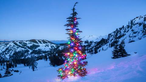 A tree lit up with Christmas lights on Sunspot run at Alpine Meadows with Lake Tahoe in the background