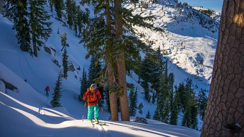Backcountry skiers skinning uphill during a guided tour with Alpenglow Expedtions