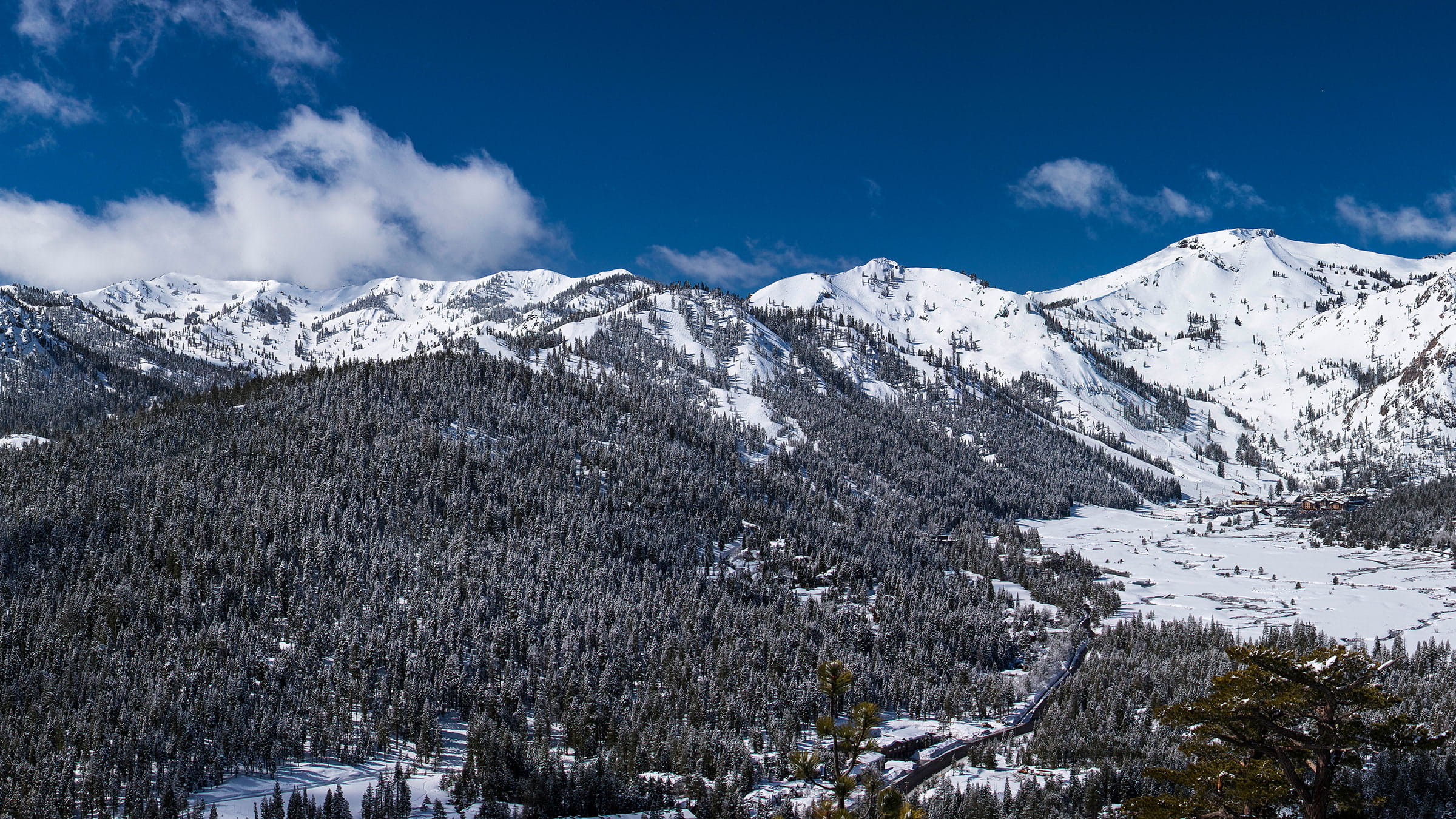 Scenic view during winter of Palisades Tahoe, showing both the Alpine Meadows and Olympic Valley sides