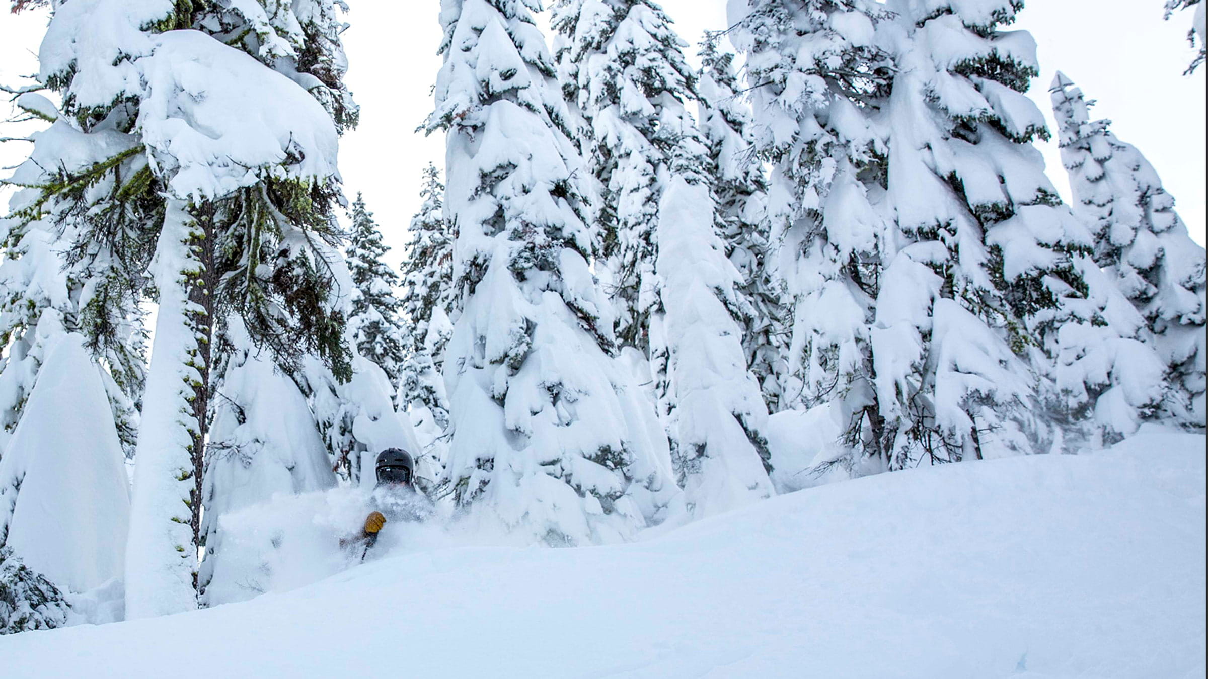 Skier in deep snow at Olympic Valley