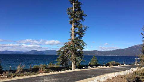 Scenic view of Lake Tahoe from the West Shore bike path in Tahoe City during summer