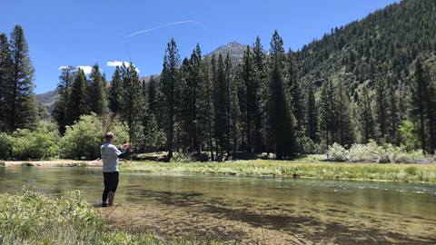 A man practices fly fishing in the Truckee River.