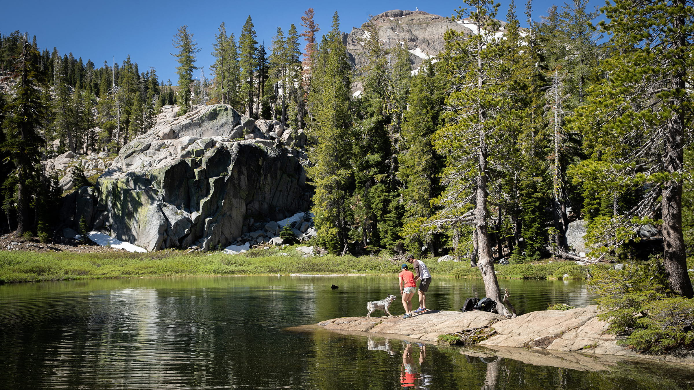 Two hikers and a dog at the edge of Shirley Lake during summer