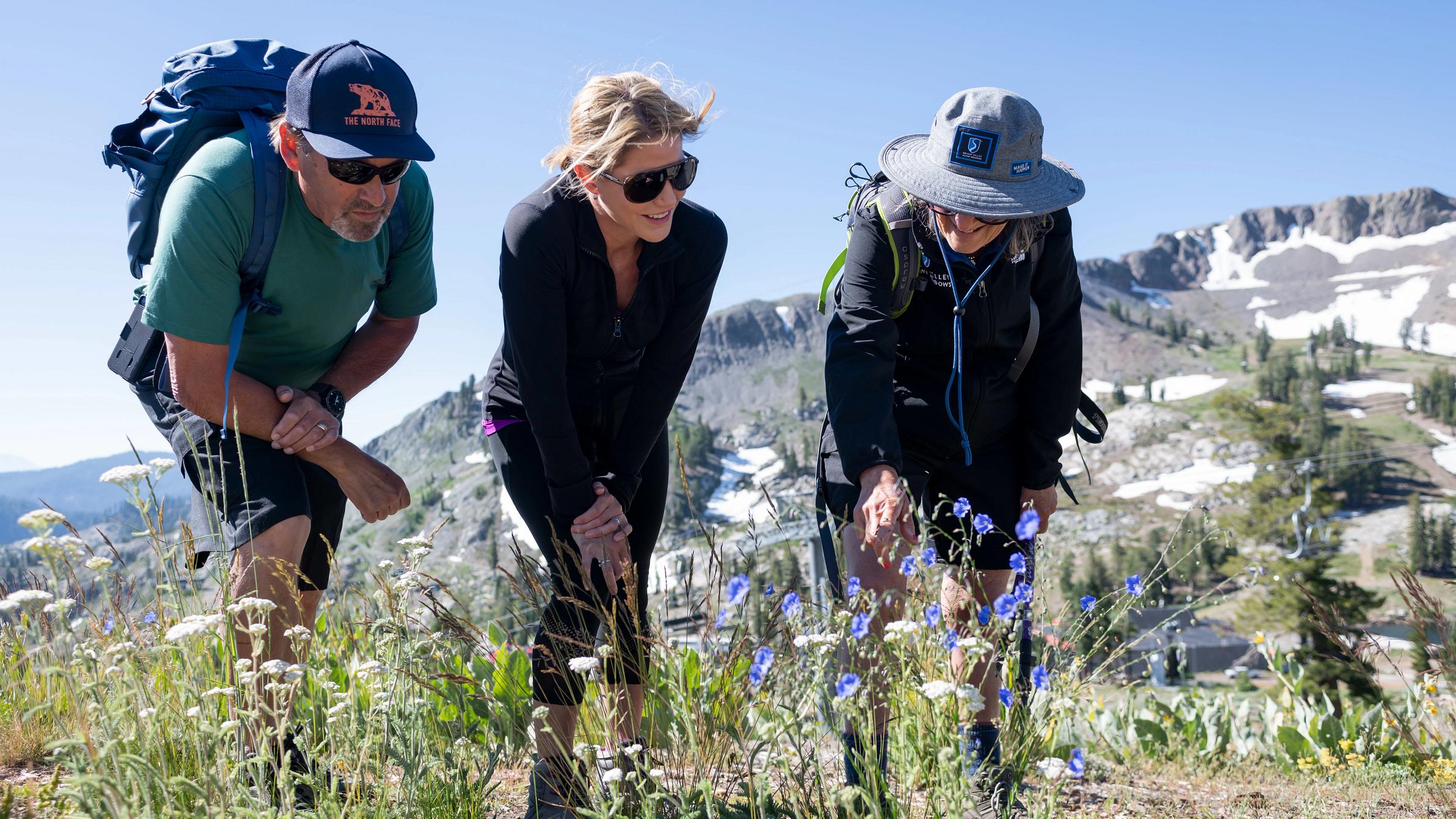 High Camp Guided Tours