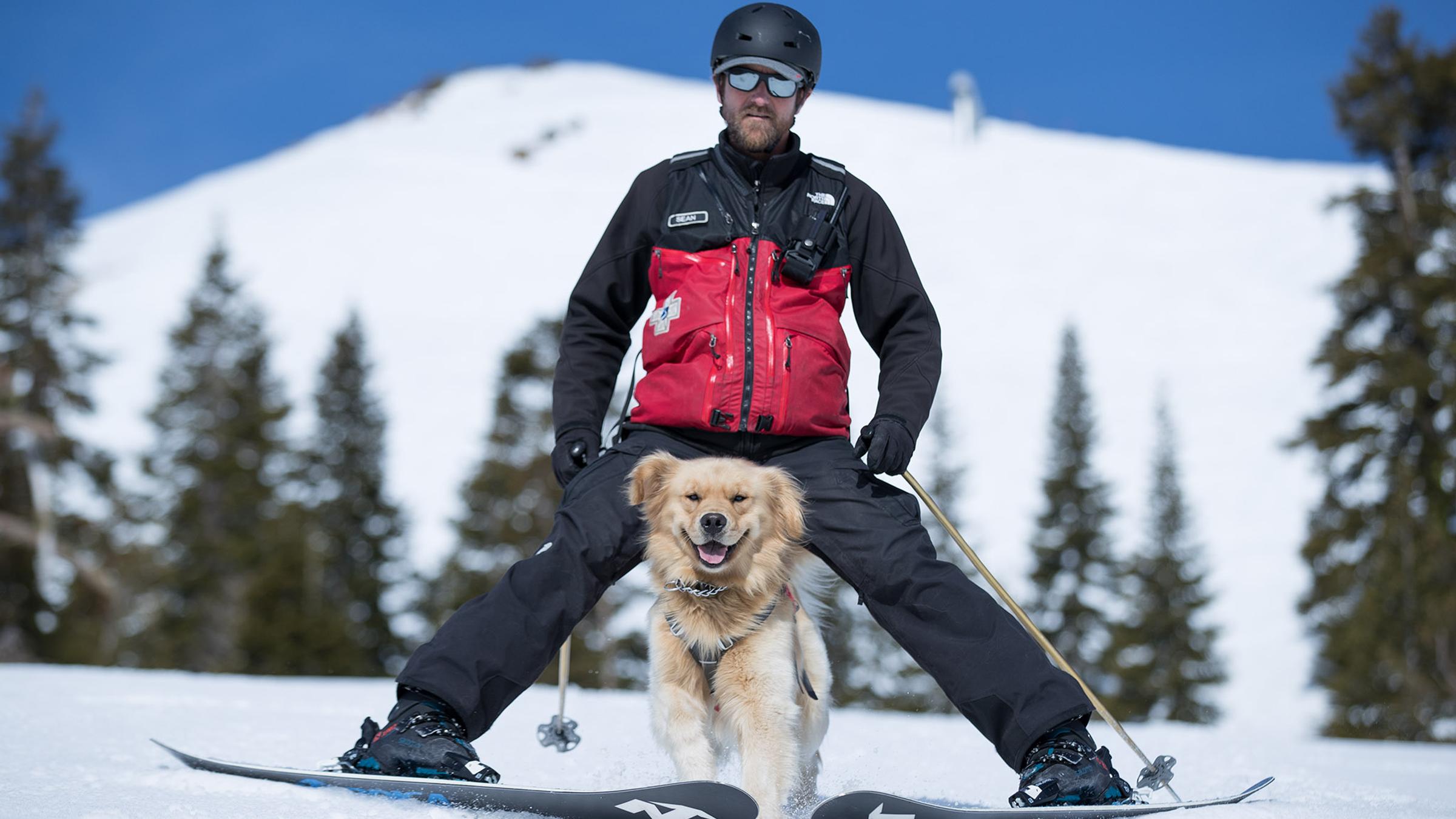 SKI PATROLLER SKIING WITH HIS PATROL DOG AT ALPINE MEADOWS
