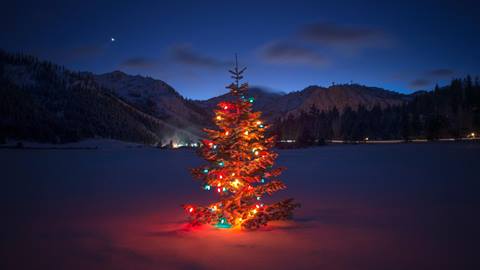 A christmas tree in Squaw Valley at dusk for Merry Days Holly Nights
