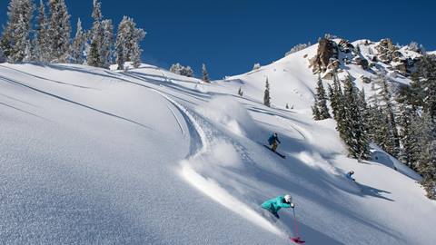Powder day skiing at Squaw Valley