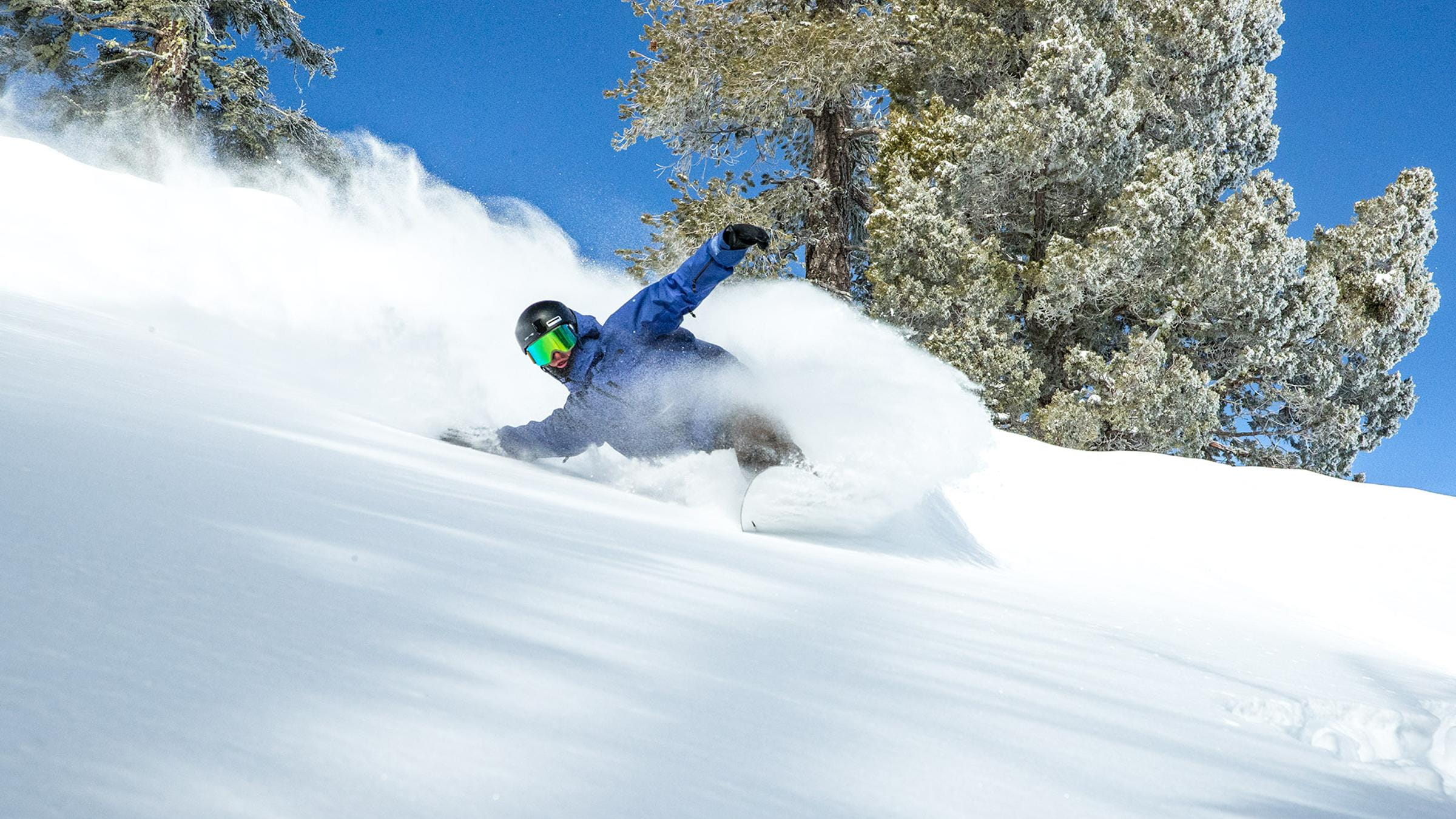 Snowboarding powder at Alpine Meadows