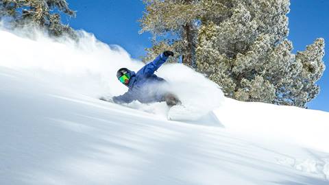 Snowboarding powder at Alpine Meadows
